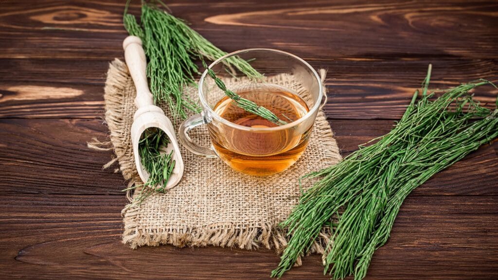 Descubre los Beneficios de la Pimienta Cayena, Diente de León y Cola de Caballo 3 Explora los impresionantes beneficios de las infusiones naturales con pimienta cayena, diente de león y cola de caballo.